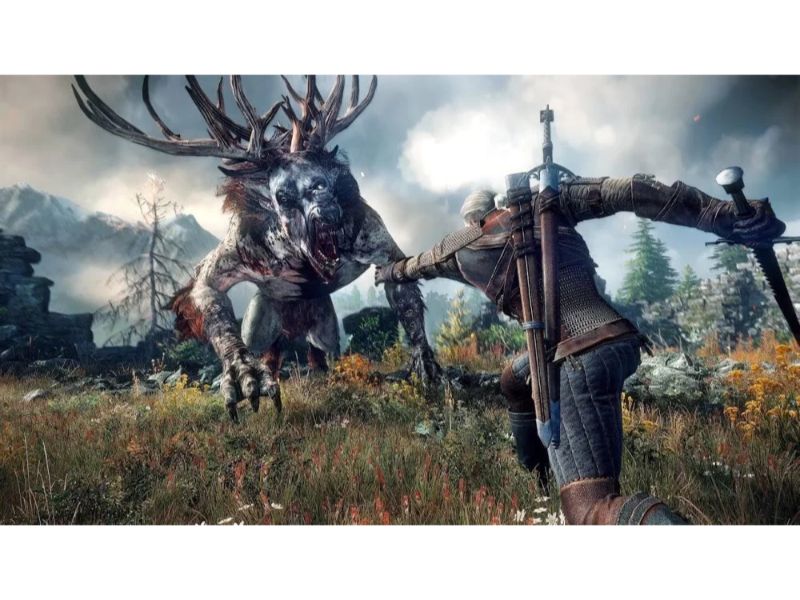 thewitcher3