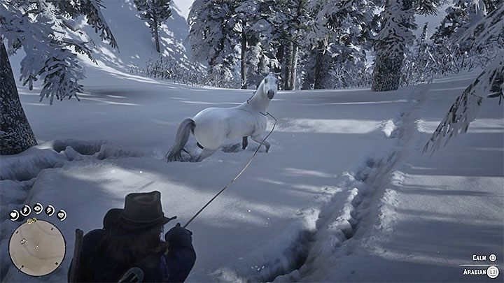 Red Dead Redemption 2