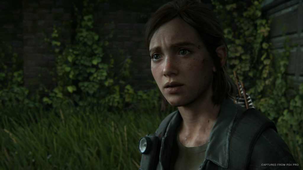 The Last of Us