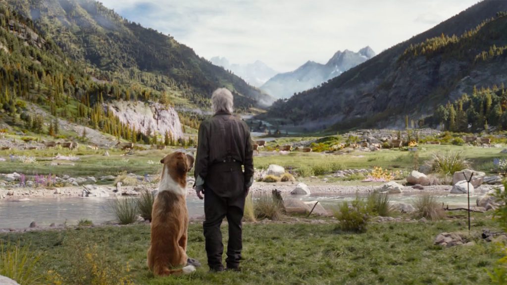The Call of the Wild