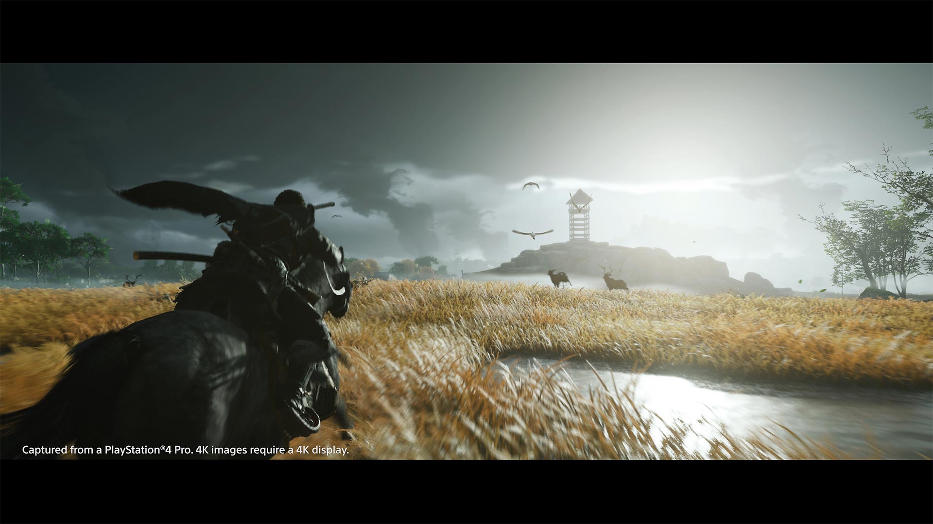 گشت و گذار در بازی Ghost of Tsushima