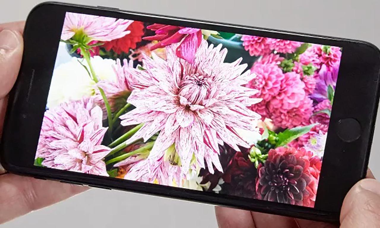 آیفون SE 2020 در برابر آیفون 7؛ نمایشگر و بدن