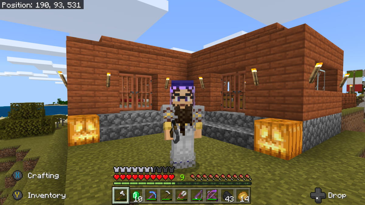 15 چیزی که برای شروع بازی Minecraft باید انجام دهید
