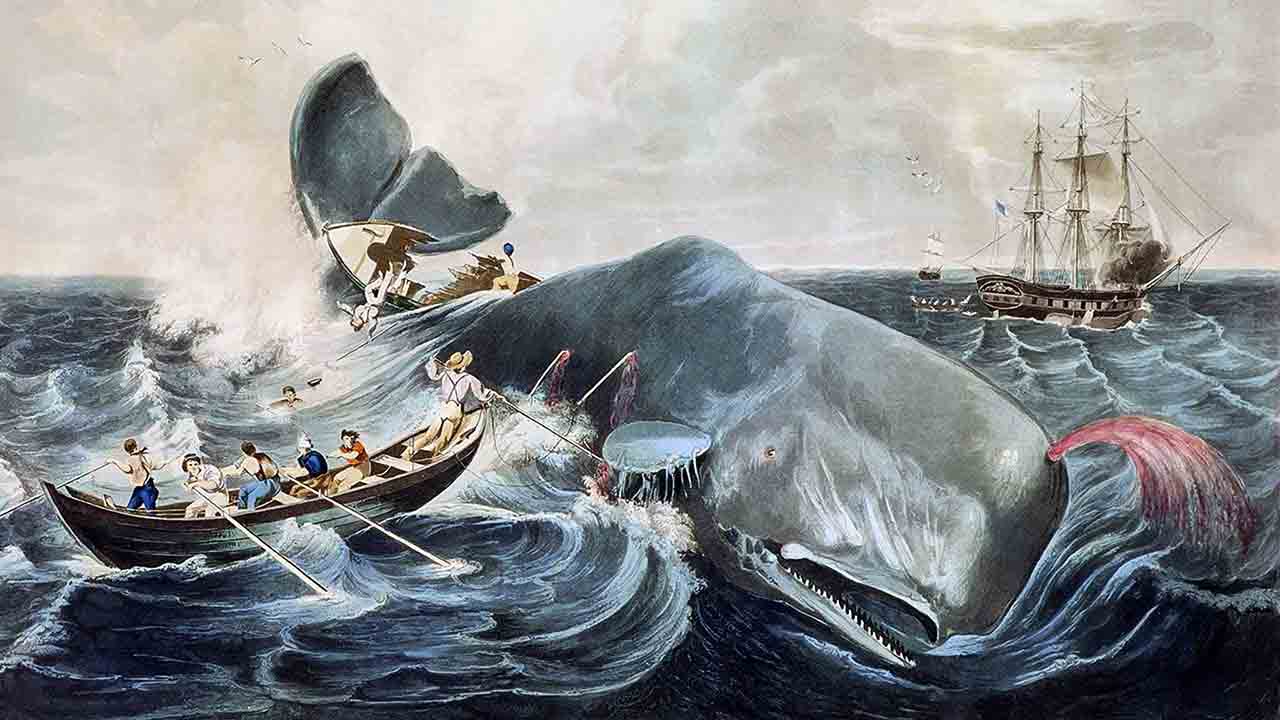 نهنگ موبی‌دیک ملویل هشداری بود که ما به آن توجه نکردیم