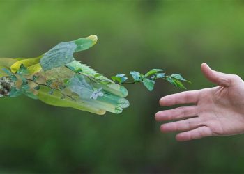 سرگرمی ما چگونه زمین را نابود می کند؟