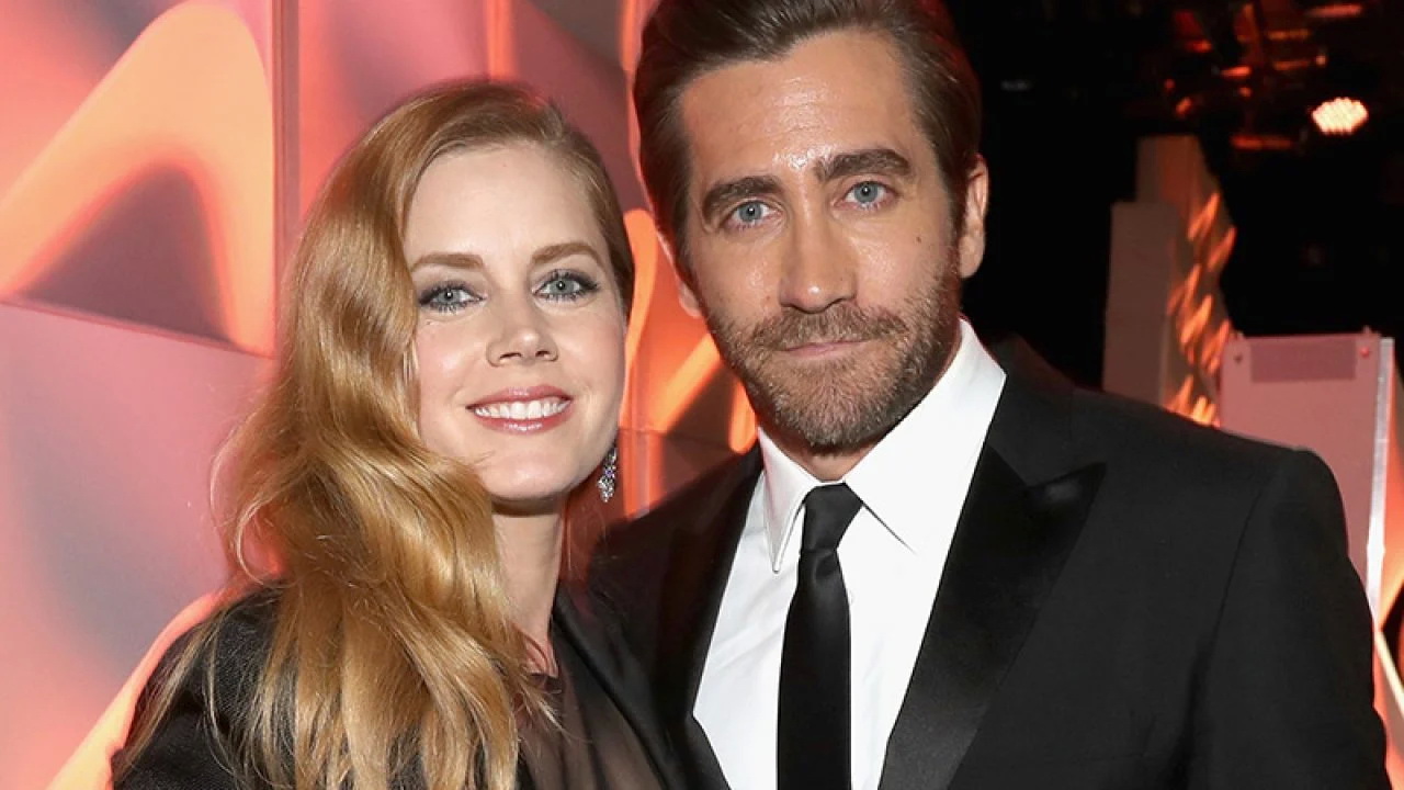 خرید حق اقتباس کتاب Finding the Mother Tree توسط جیک جیلنهال و ایمی آدامز